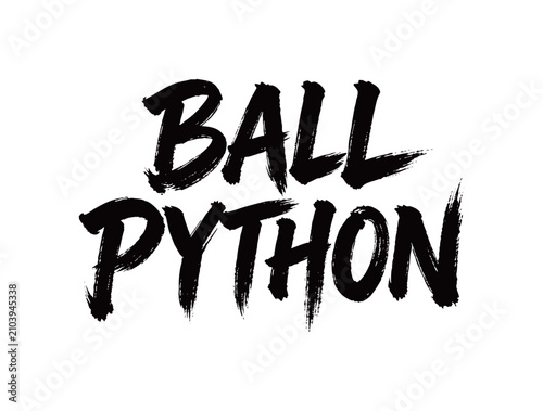 Fotografie BALL PYTHON Handwriting