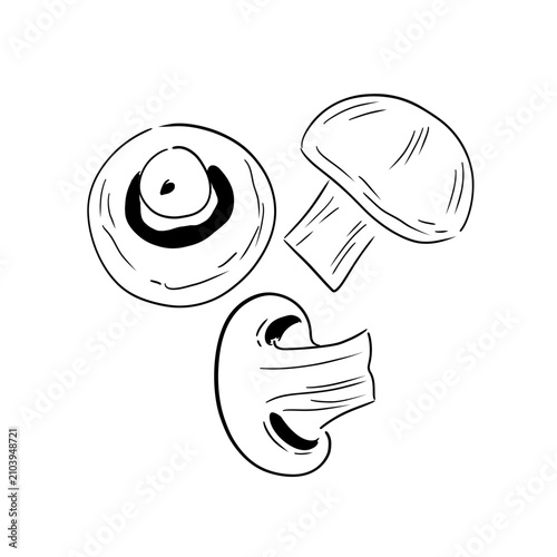 Minimalist vector outline illustration of button mushrooms - champignon. Elegant black line art featuring a group of cultivated mushrooms with clean contour lines, isolated on a white background