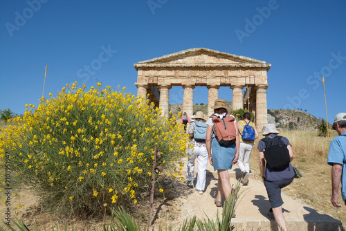 Quadro su tela Temple de Ségeste - Parc archéologique de Ségeste - Sicile - Italie
