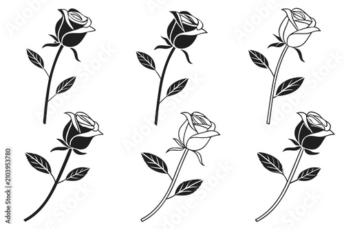 Six blooming wildflowers with green leaves and stems