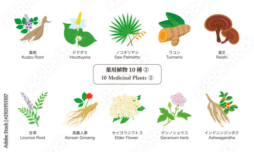 薬用植物10種-2