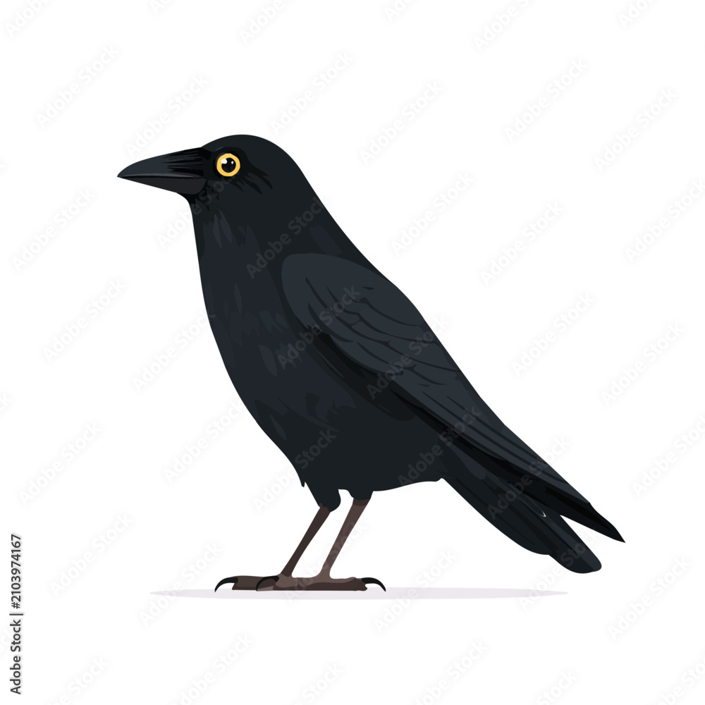Fototapeta premium Crow — flat 2D vector artwork created in a clean, modern, and minimal style on white background.