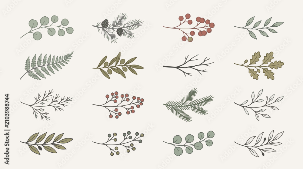 Fototapeta premium Botanical Evergreen Branches Set - Hand-Drawn Winter Foliage Collection