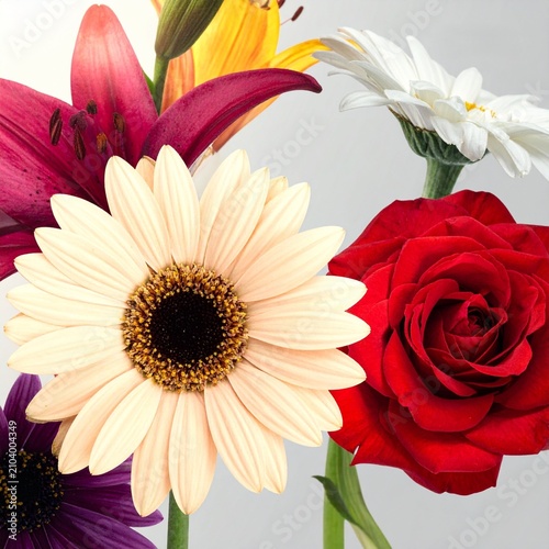 Vibrant Bouquet with Daisy Rose and Mixed Flowers