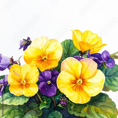 Vibrant Yellow and Purple Pansy Bouquet with Green Leaves