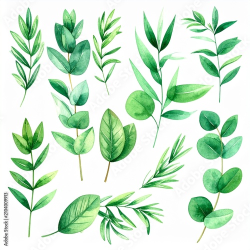 Watercolor Green Plant Sprigs Set