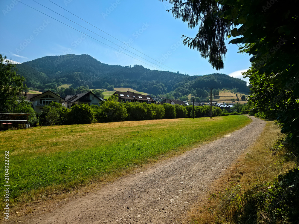 Fototapeta premium germany, scenic hiking trail leading alongside charming black forest village simonswald through lush countryside beneath vibrant blue summer sky