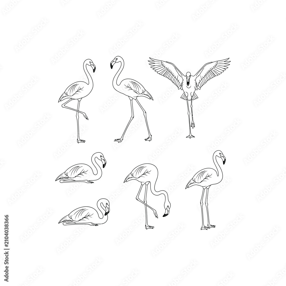 Obraz premium Set of simple black and white line art vector illustrations of flamingos in various poses isolated on white background.