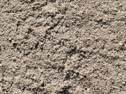 Принти на полотні Sunlit Rough Stucco Wall Texture