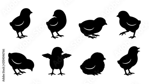 Photography Cute Chick Silhouettes, Baby Bird Vector Icons, Farm Animal Graphics, Spring Pou