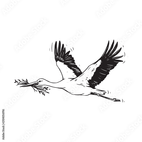 Obraz na plátne Stork Carrying Nest Black And White Sketch Illustration