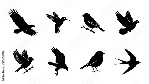 Картината върху платно Diverse Bird Silhouettes Collection, Avian Wildlife Vector Icons, Nature Flying