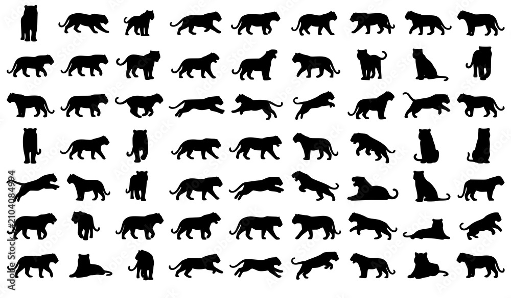 Fototapeta premium Tiger Silhouette Vector Set Jungle Predator Wildlife Logo Collection