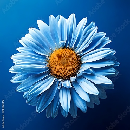 Vibrant Blue Daisy Flower with Yellow Center.