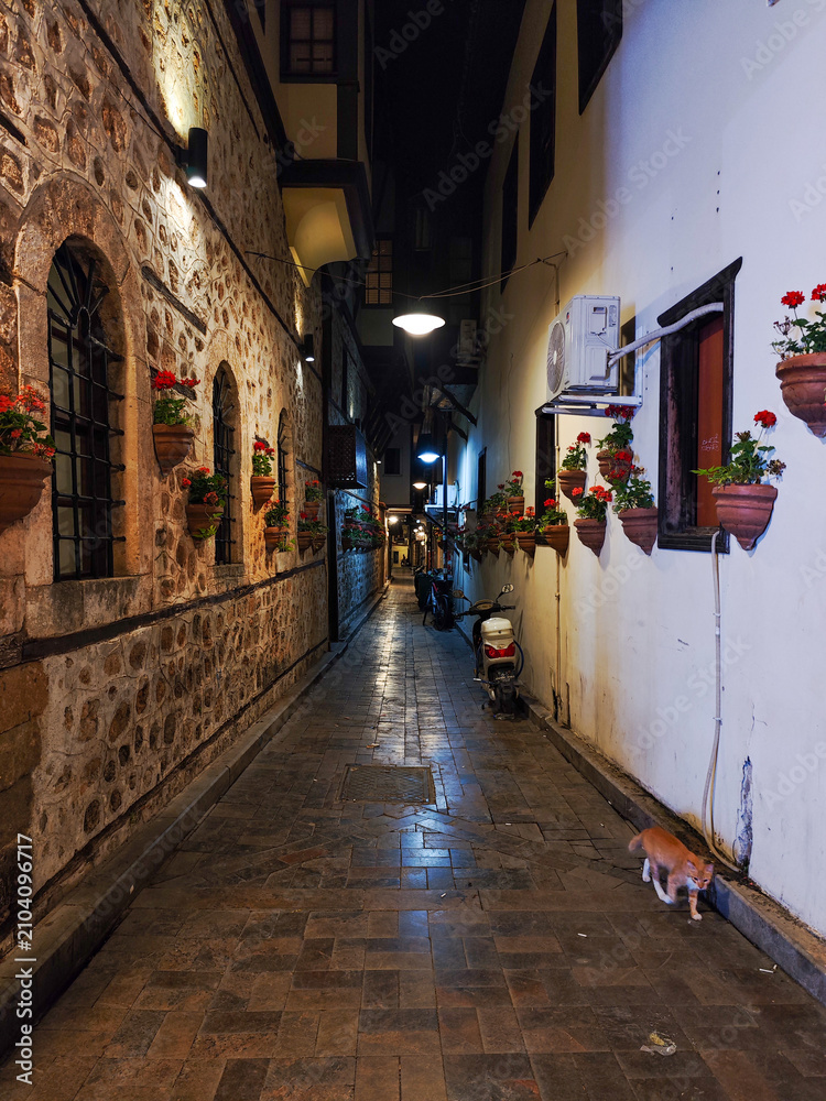Fototapeta premium Charming narrow old town street with a cat walking under lanterns at night