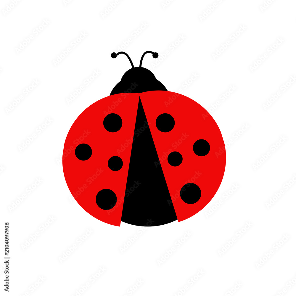 Obraz premium 1807 Ladybug - 4