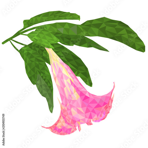 Brugmansia suaveolens medicinal flower pink Angel's Trumpet low-polygon outline vector illustration editable hand draw