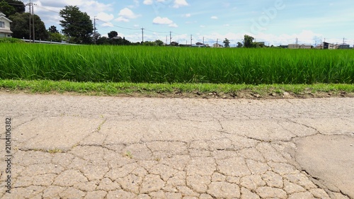 Foto 首都圏近郊の古いひび割れた農道と稲穂の出始めた梅雨の晴れ間の田んぼ風景