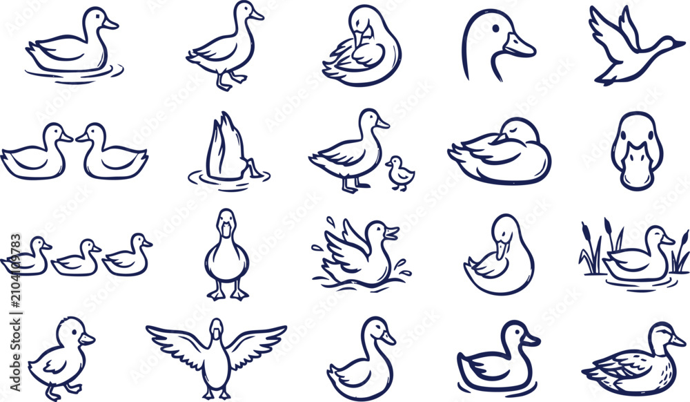 Obraz premium Duck line art vector illustration set, minimalist waddling, swimming, and flying ducks icons pack