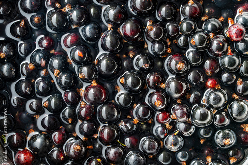 Closeup of ripe organic blackcurrants submerged in clean water. Ripe dark summer berries texture pattern for healthy food concept, juice recipe, jam production, or organic harvesting