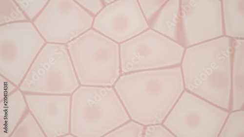 Canvastavla Abstract pattern of cells with nuclei
