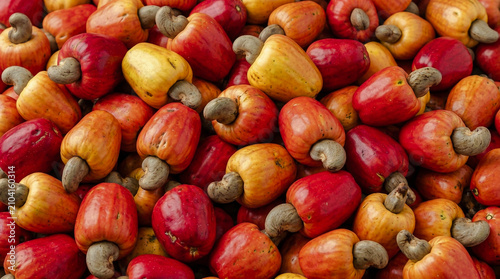 Pile of Fresh Harvested Cashew Apples with Raw Nuts Background Full Frame