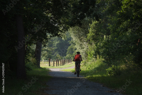 BIKE PATH - A bike trail among parks, forests and meadows
