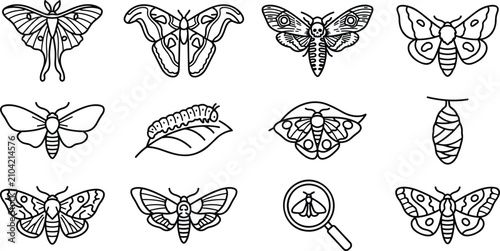 Bild auf Leinwand Moth life cycle and butterfly icon set with caterpillar chrysalis cocoon and diverse insects vector line art illustration