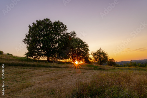 Summer landscape, The terrain hill countryside in Zuid-Limburg, Silhouette of tee on hillside in the evening during sunset in Gulperberg, Gulpen is a villages in Dutch province of Limburg, Netherlands