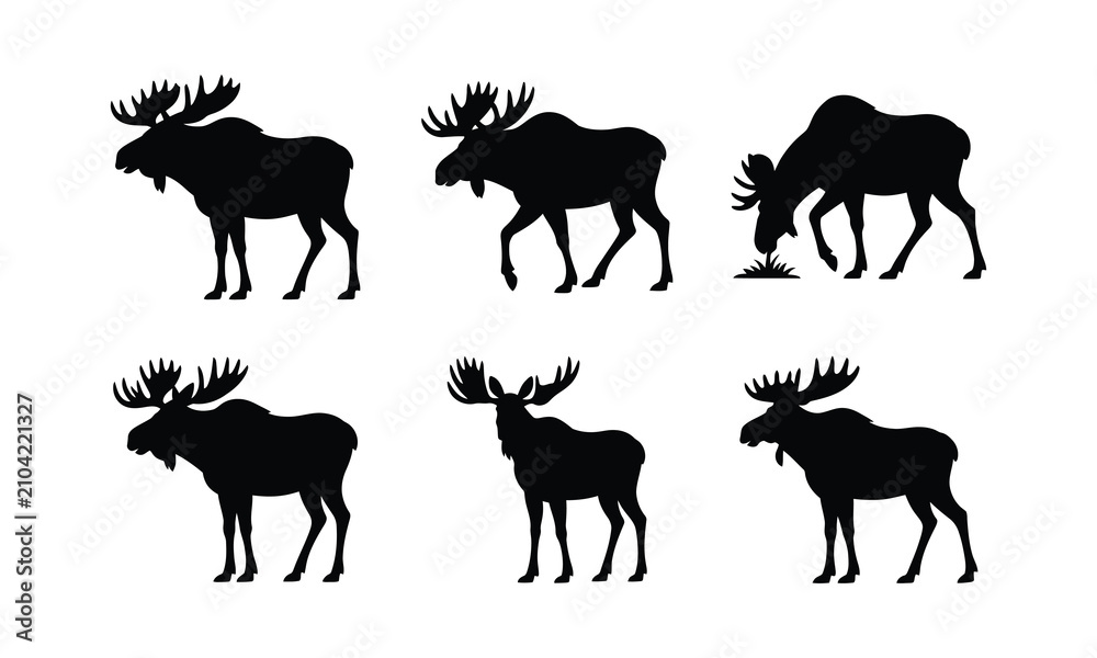 Obraz premium Moose vector icons set, isolated on white background for wildlife design.