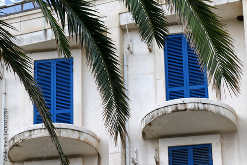 Photography Mediterranean building facade with traditional blue window shutters and palm leaves in foreground