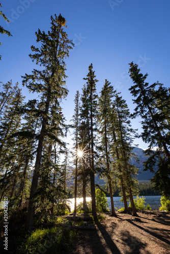 Majestic Summer Landscapes of Banff and Jasper National Parks, Canadian Rockies