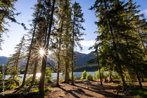 Majestic Summer Landscapes of Banff and Jasper National Parks, Canadian Rockies