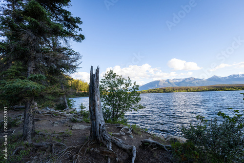 Majestic Summer Landscapes of Banff and Jasper National Parks, Canadian Rockies