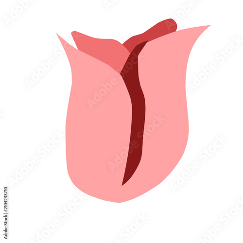 vector illustration of a pink Flat Flower Bud