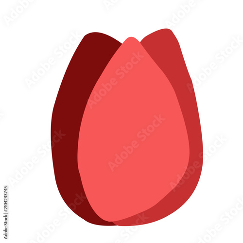 pink and red Flat Flower Bud