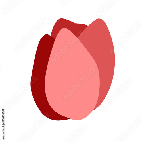 pink and red Flat Flower Bud