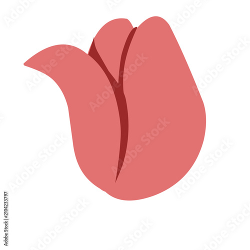 pink Flat Flower Bud