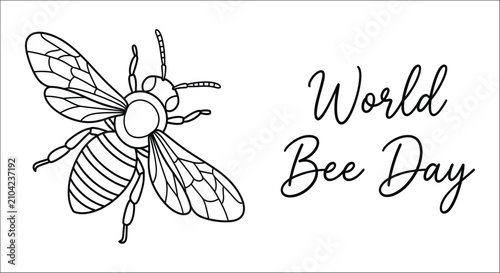 фотографія Line drawing of a bee with visible wing veins presented on a white background in