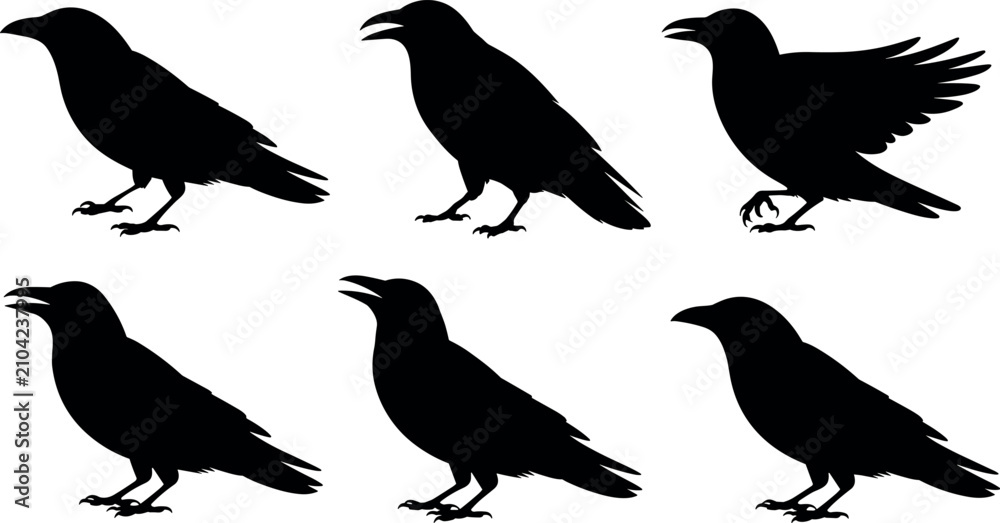 Fototapeta premium Flock of crows and ravens black silhouettes collection with standing and flapping wings bird designs