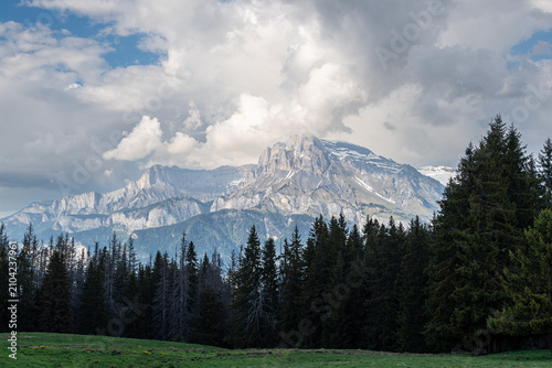 Fotografie paysage avec forêt et massif montagneux sous un ciel nuageux