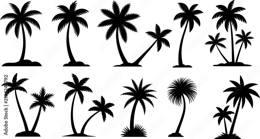 Fototapeta premium Palm tree vector illustration set with various tropical coconut trees silhouettes for summer beach vacation designs