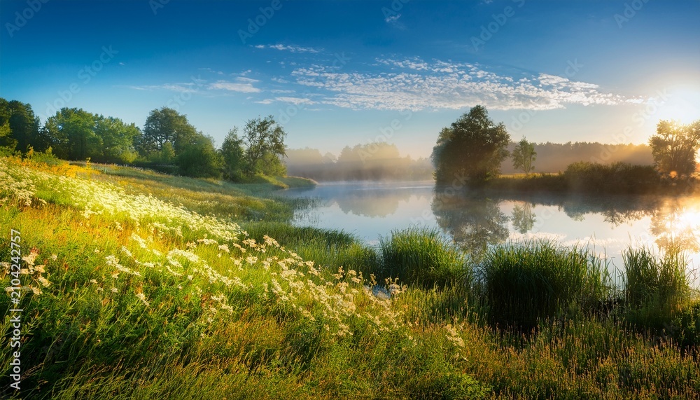 Naklejka premium Bright Summer Morning By The Riverside