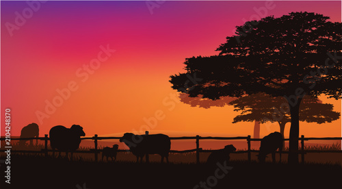 flock of domestic sheep and lamb grazing in the evening field with large trees behind wooden fence - organic livestock farm vector silhouette outdoors scene with dramatic sunset sky