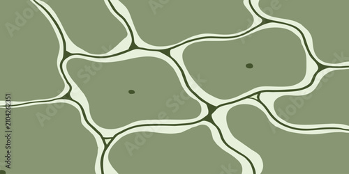 Bild auf Leinwand Abstract plant cell structure background