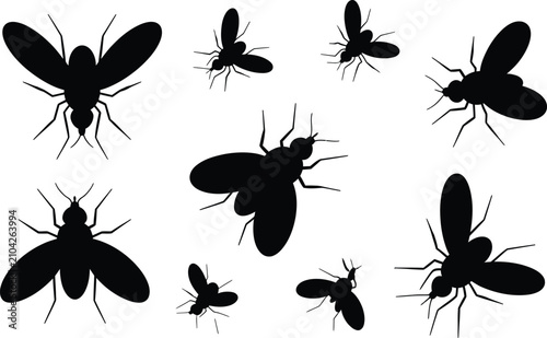 Fotografie Black silhouette insect collection fleas bugs and parasites vector illustration