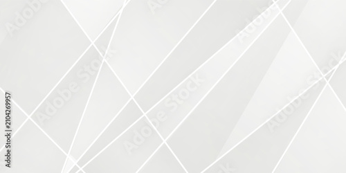 Canvastavla Abstract white and gray background