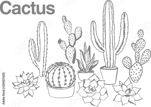 Bild auf Leinwand Una colección de varios cactus y plantas suculentas dibujados a mano en macetas