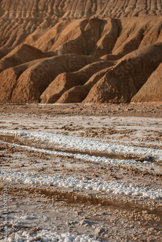 Cuadro en lienzo A vertical, eye-level photograph capturing a dry and textured desert floor patterned with rows of white salt crust deposits and patches of brown, damp mud