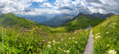 Bild auf Leinwand mountain colored flowers in little valley of Walser with green meadows and steep rocky slope in the alps of Bregenzerwald, with rocky mountains and steep, stony slopes on a rainy day with clouds
